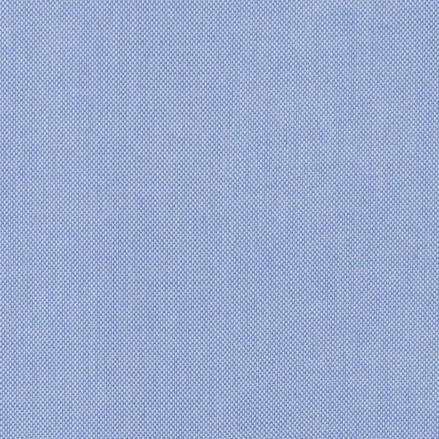 Cooper & Stewart Non-Iron Pinpoint Button Down Blue - Hajjar's Big & Tall Mens Clothing